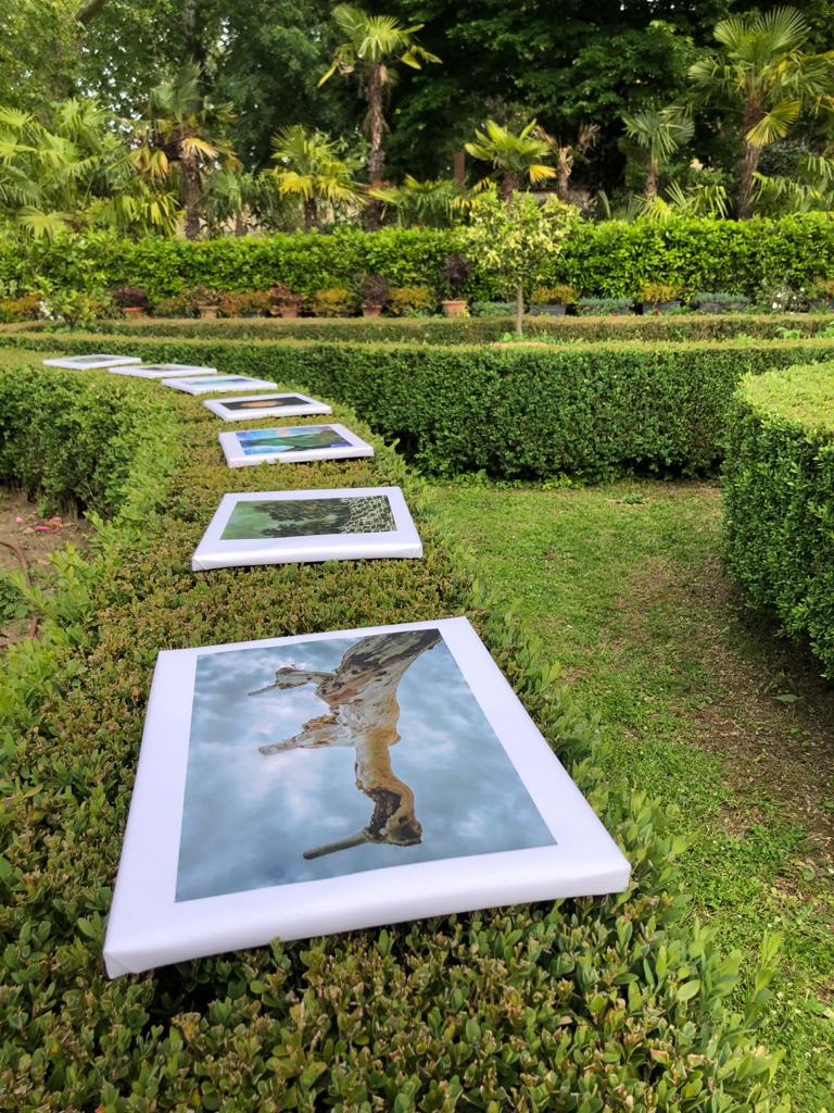 foto mostra1